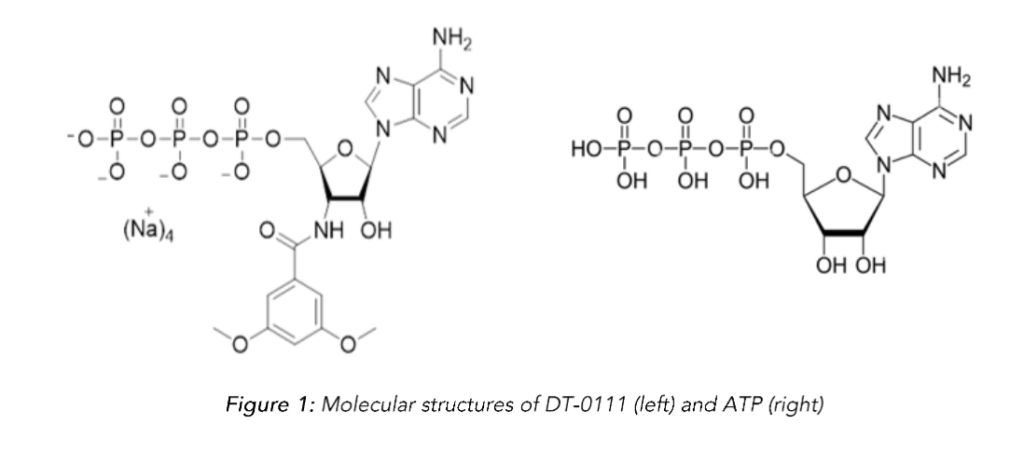 This image has an empty alt attribute; its file name is image-125-1024x451.png