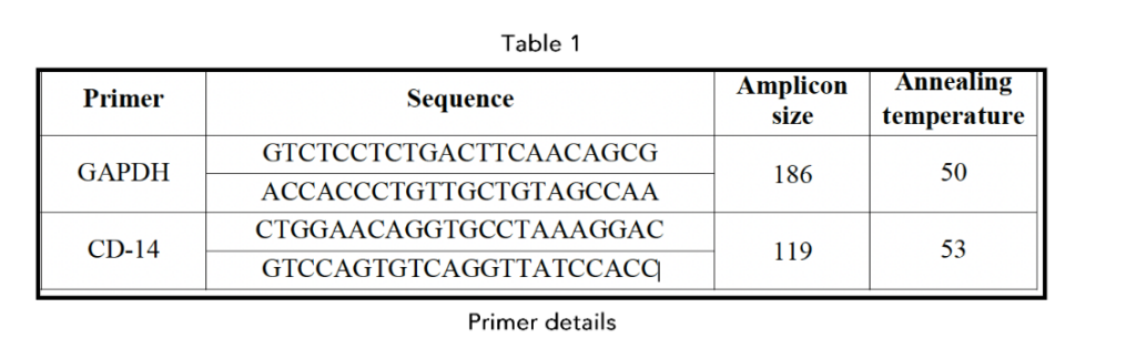 This image has an empty alt attribute; its file name is image-131-1024x324.png