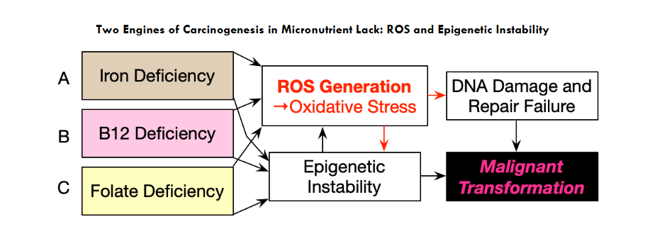 This image has an empty alt attribute; its file name is image-14.png