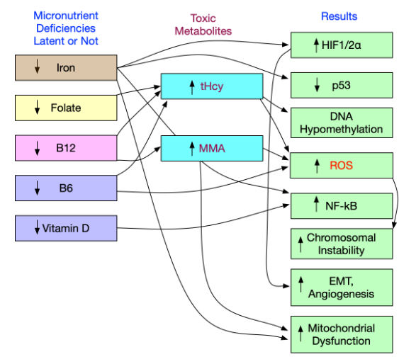 This image has an empty alt attribute; its file name is image-15.png