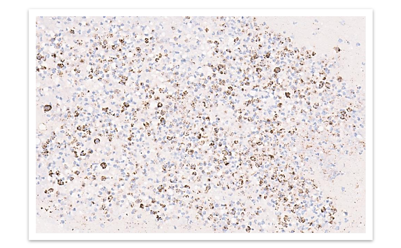 This image has an empty alt attribute; its file name is image-159.png