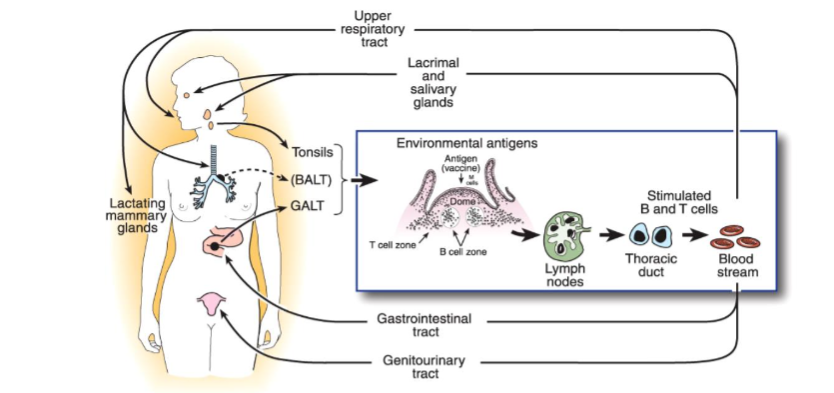 This image has an empty alt attribute; its file name is image-74.png