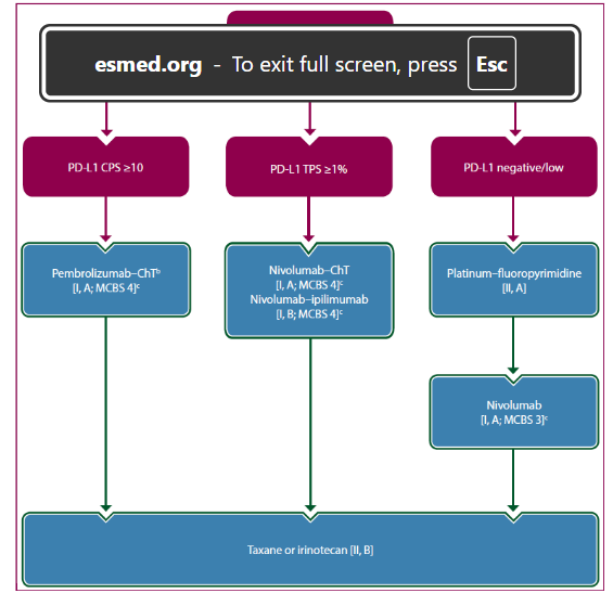 This image has an empty alt attribute; its file name is image-87.png