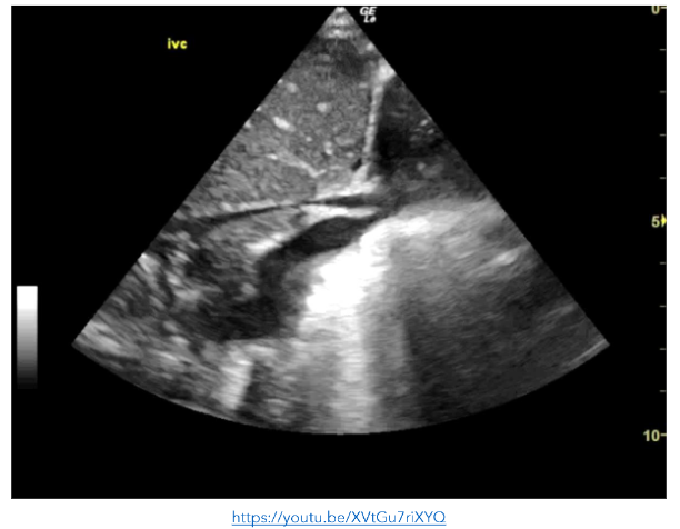 This image has an empty alt attribute; its file name is Screenshot-2026-03-20-210425-1.png