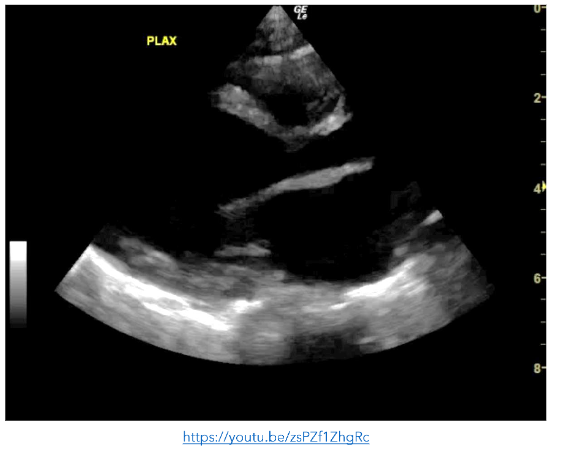 This image has an empty alt attribute; its file name is image-124.png