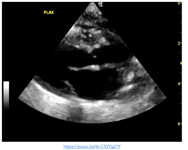 This image has an empty alt attribute; its file name is image-126.png