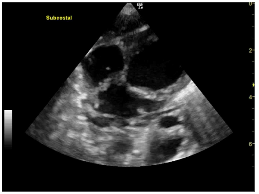 This image has an empty alt attribute; its file name is image-129.png