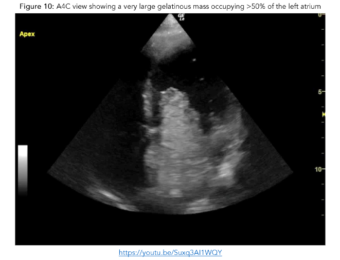 This image has an empty alt attribute; its file name is image-131.png