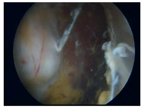 This image has an empty alt attribute; its file name is image-143.png