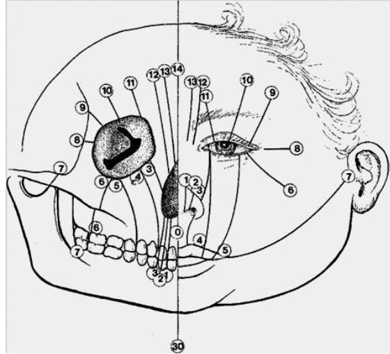 This image has an empty alt attribute; its file name is image-229.png