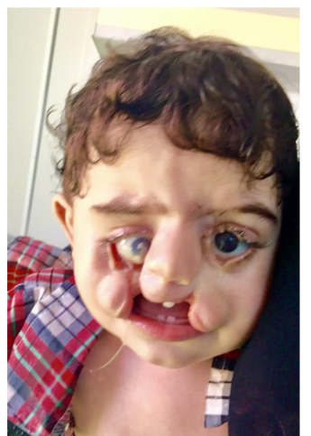 This image has an empty alt attribute; its file name is image-230.png