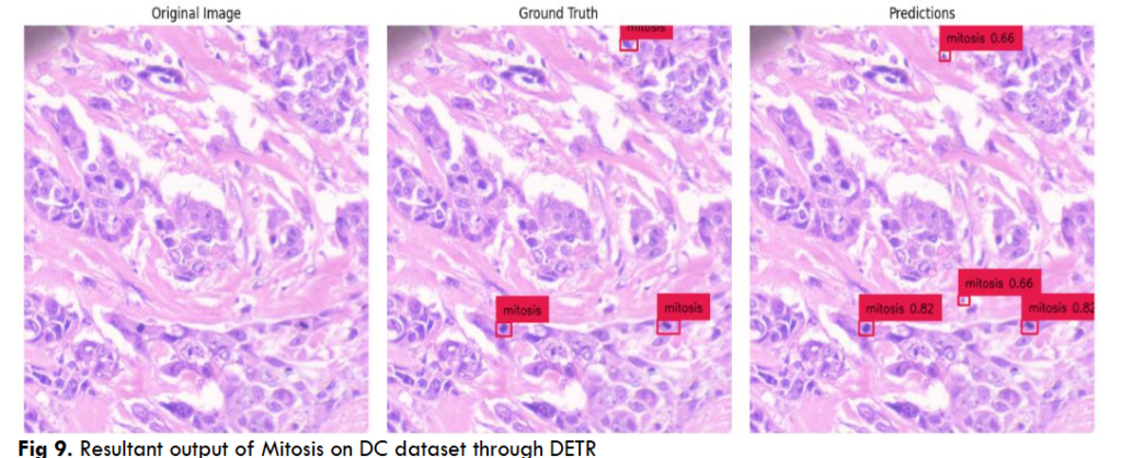 This image has an empty alt attribute; its file name is image-35-1024x418.png