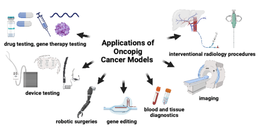 This image has an empty alt attribute; its file name is image-99-1024x504.png