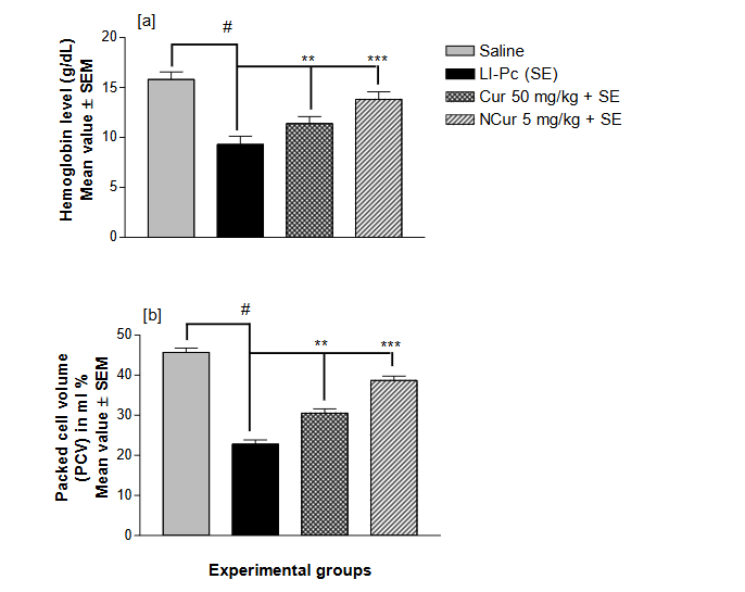 This image has an empty alt attribute; its file name is image-11.png