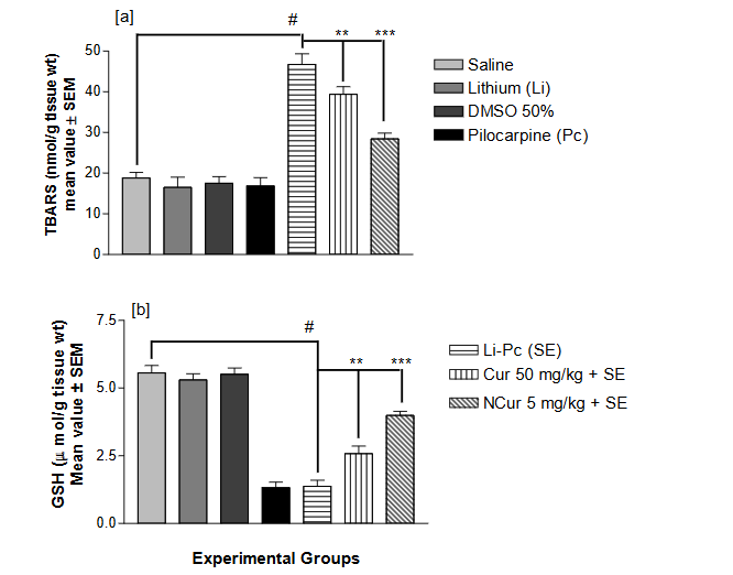 This image has an empty alt attribute; its file name is image-12.png