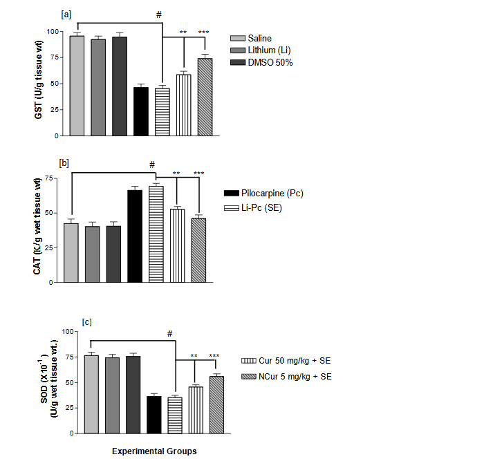 This image has an empty alt attribute; its file name is image-13.png