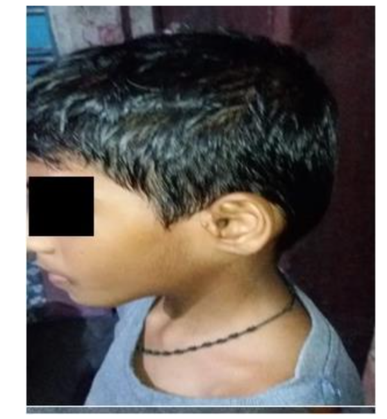 This image has an empty alt attribute; its file name is image-144.png