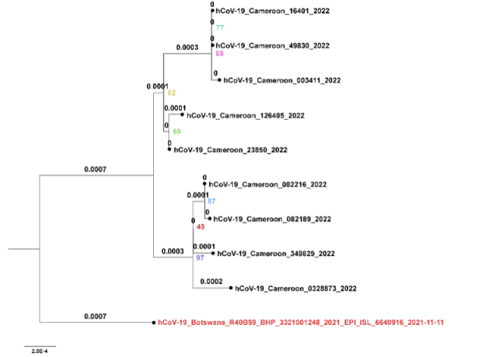 This image has an empty alt attribute; its file name is image-19.png