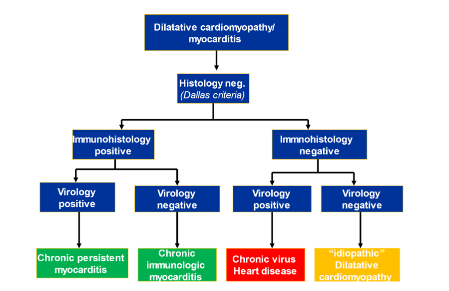 This image has an empty alt attribute; its file name is image-317.png