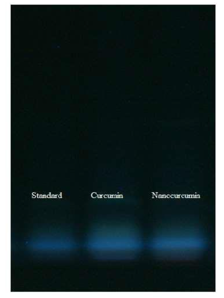 This image has an empty alt attribute; its file name is image-6.png