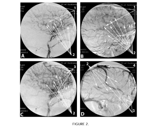 This image has an empty alt attribute; its file name is image-76.png