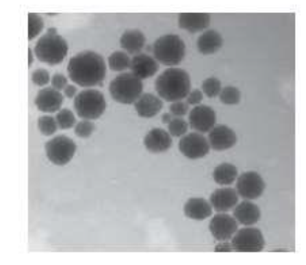 This image has an empty alt attribute; its file name is image-8.png