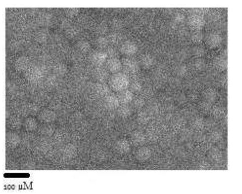 This image has an empty alt attribute; its file name is image-9.png