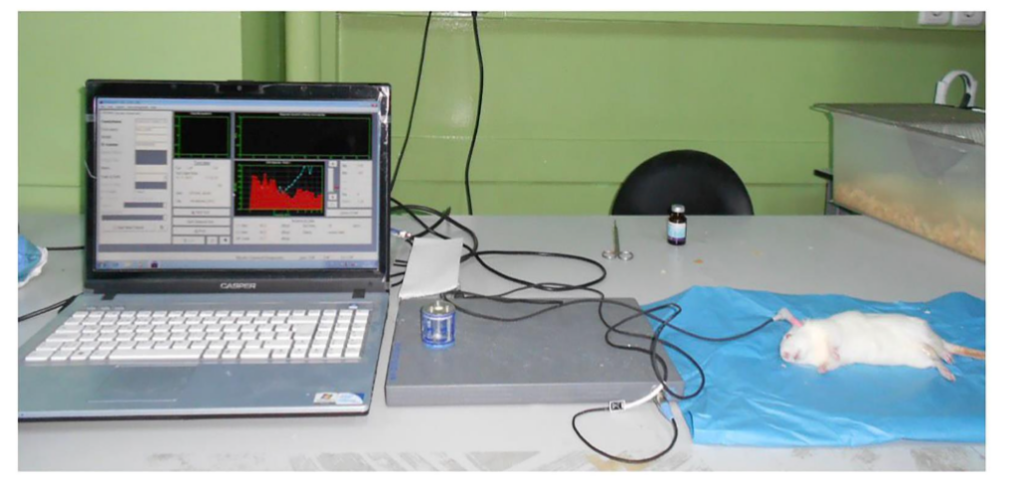 This image has an empty alt attribute; its file name is image-13-1024x479.png